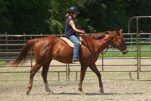 What If You Get Injured Riding A Horse?