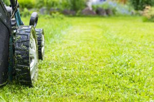 Something As Simple As Cutting The Grass Could Lead To You Needing An Attorney