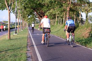 city-infrastructures-not-sound-for-bike-lanes