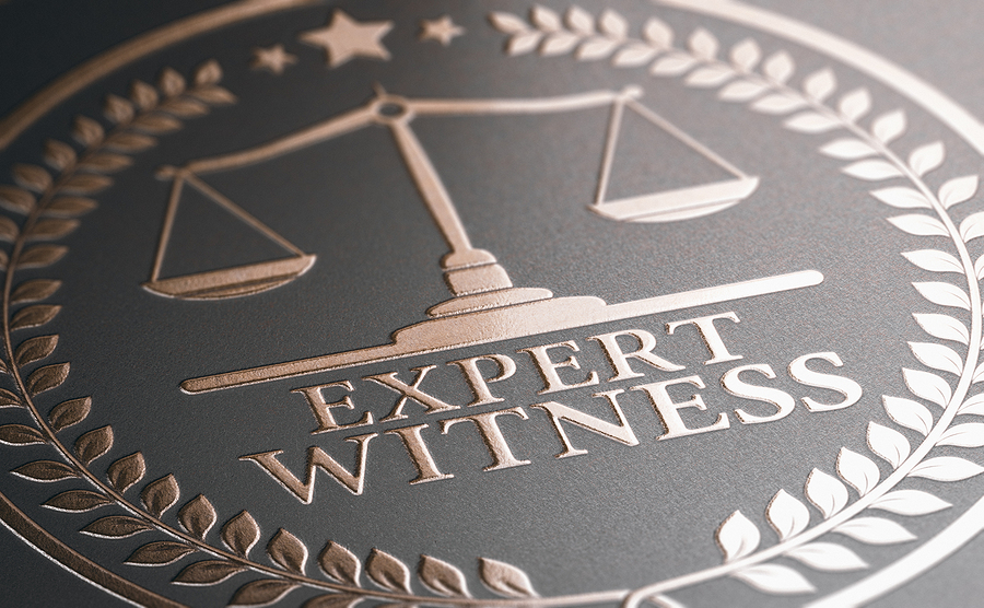 What Is An Expert Witness And How Can They Help My Auto Accident Case?